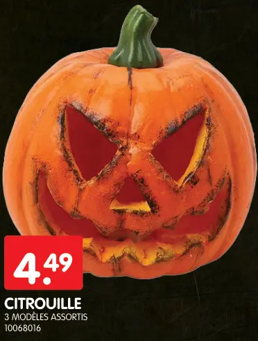 Offre: Citrouille