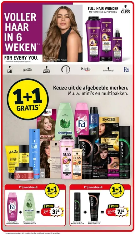 Aanbieding: Fa douchegel Pink Passion en Schwarzkopf shampoo