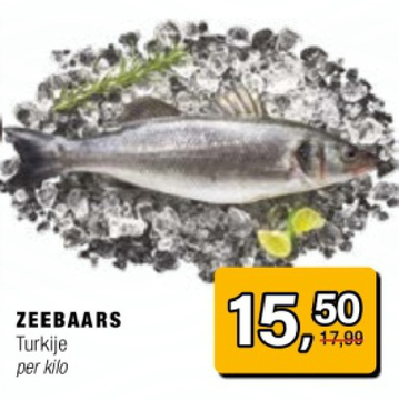 Aanbieding: ZEEBAARS