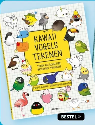 Aanbieding: Kawaii vogels tekenen
