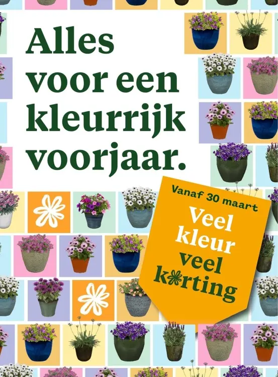 Aanbieding: Colorful Spring