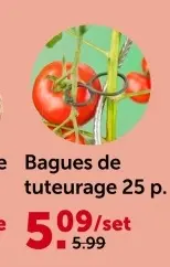 Offre: Bagues de tuteurage