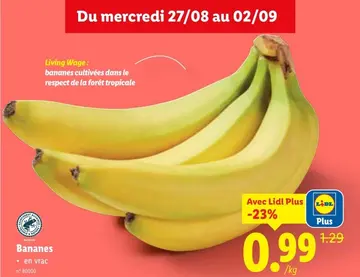 Offre: Bananes