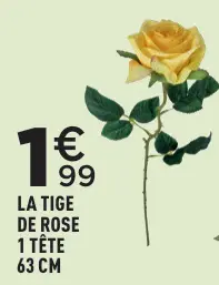 Offre: La tige de rose 1 tête