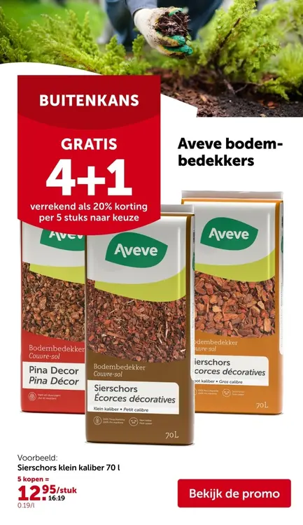 Promotie: Bodembedekkers