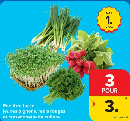 Offre: Persil en botte, jeunes oignons, radis rouges
