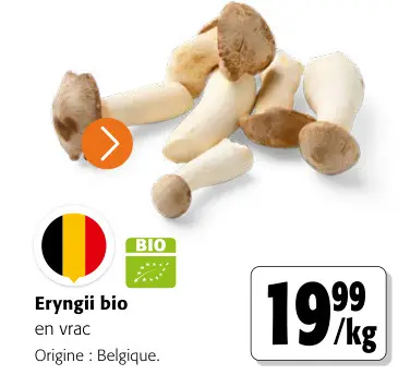 Offre: Eryngii bio