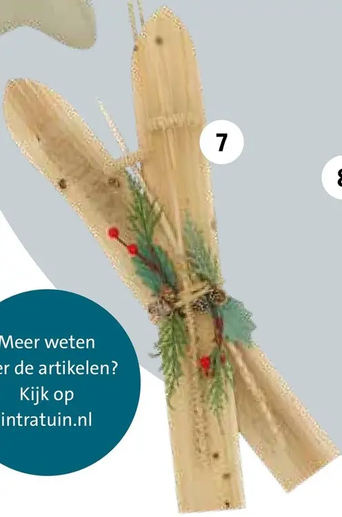 Aanbieding: Hanger ski's