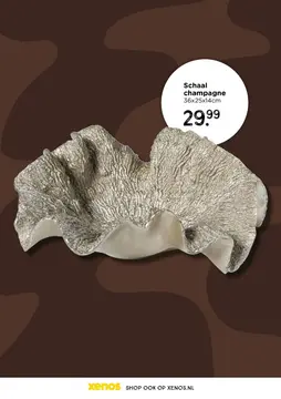 Aanbieding: Schaal champagne
