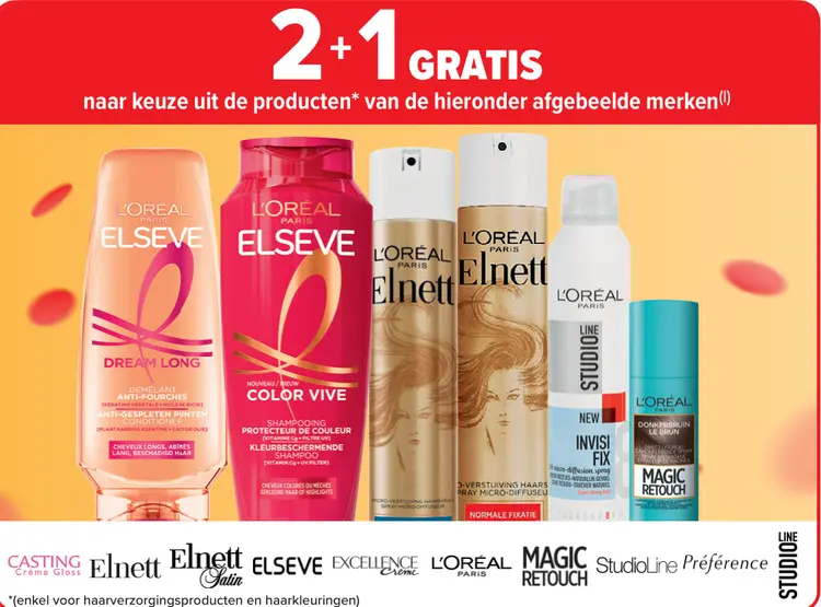 Promotie: L'Oréal Elseve, Elnet
