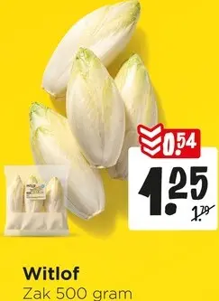 Aanbieding: Witlof