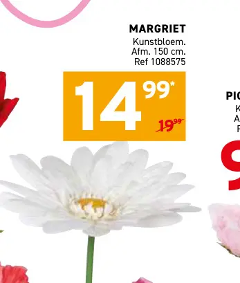 Promotie: Margriet