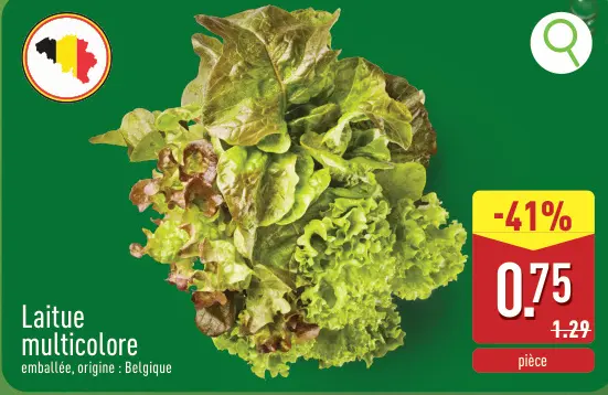 Offre: Laitue multicolore