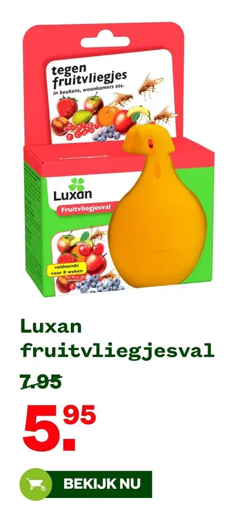 Aanbieding: Luxan fruitvliegjesval