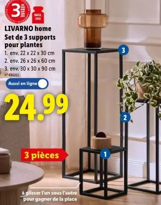 Offre: Set de 3 supports pour plantes