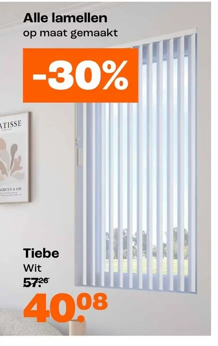 Promotie: Tiebe Wit