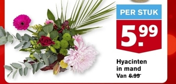 Aanbieding: Hyacinten in mand