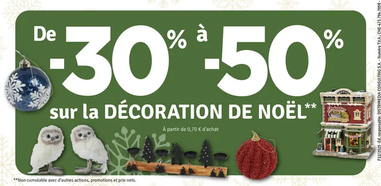 Offre: Décoration de noël
