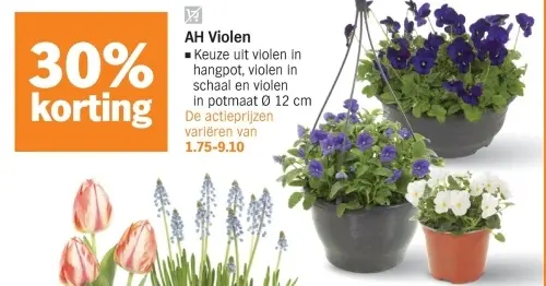 Aanbieding: AH Violen