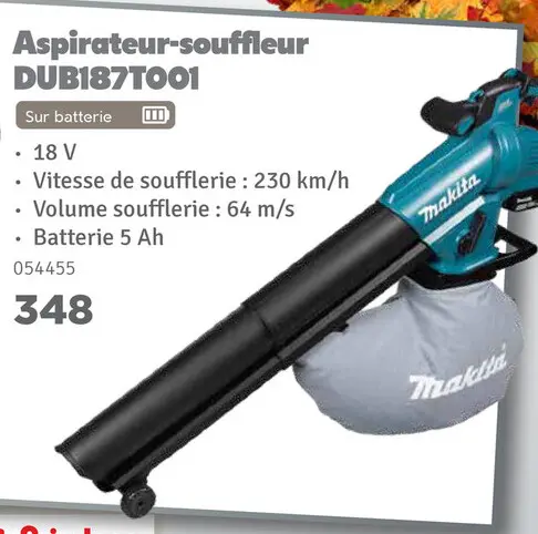 Offre: Aspirateur-souffleur DUB187T001