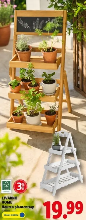 Promotie: Houten plantentrap