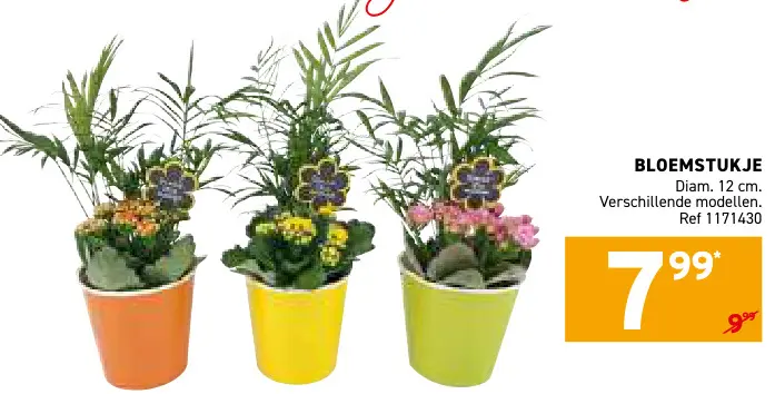 Promotie: Bloemstukje