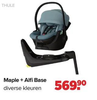 Aanbieding: Maple + Alfi Base