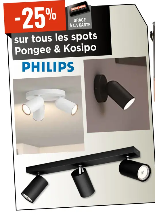 Offre: spots Pongee & Kosipo