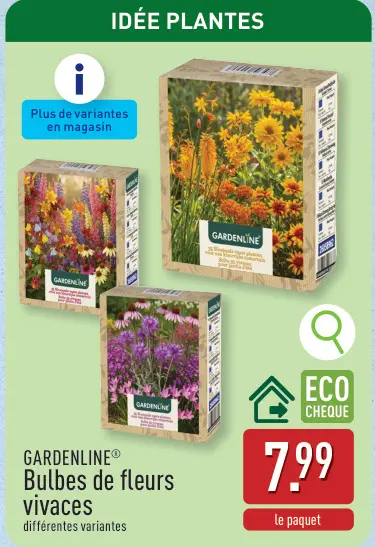Offre: Bulbes de fleurs vivaces