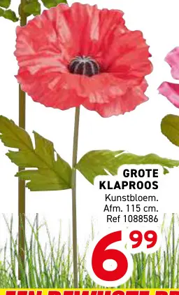 Promotie: Grote klaproos