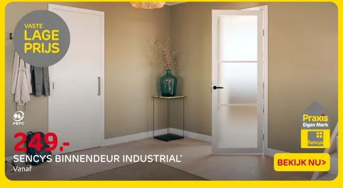 Aanbieding: Sencys binnendeur industrial