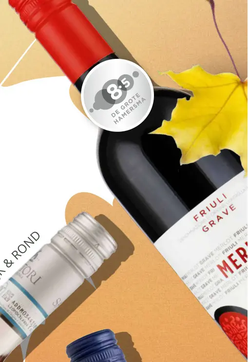 Aanbieding: Sartori Merlot Grave Friuli