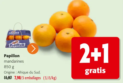 Offre: Papillon mandarines