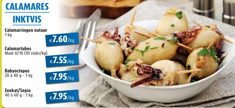 Promotie: Calamares inktvis