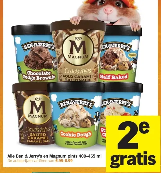 Aanbieding: Ben & Jerry's and Magnum pints
