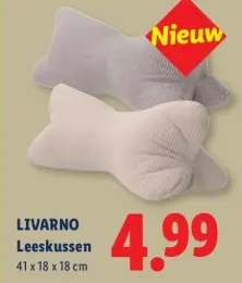 Aanbieding: Leeskussen