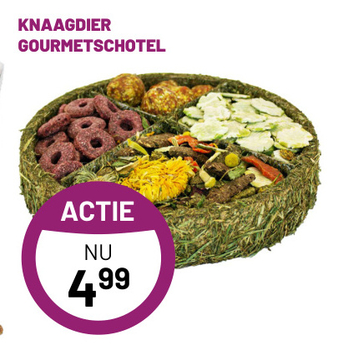 Aanbieding: KNAAGDIER GOURMETSCHOTEL