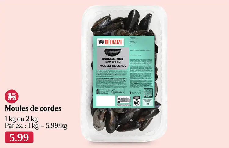Offre: Moules de cordes