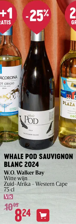 Aanbieding: Sauvignon Blanc