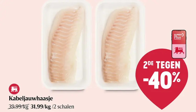 Promotie: Kabeljauwhaasje