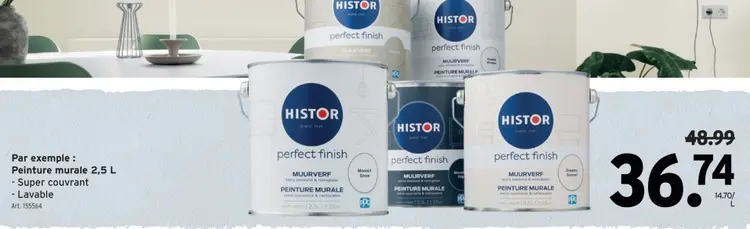 Offre: Peinture murale