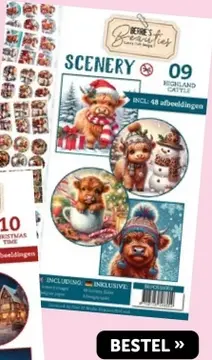 Aanbieding: Scenery 09 highland cattle