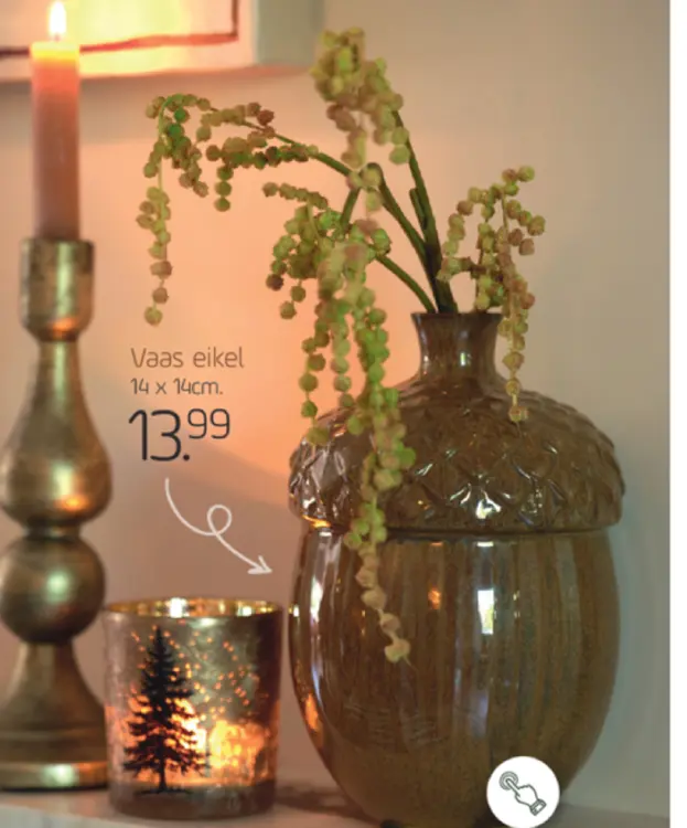 Aanbieding: Vaas eikel