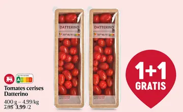 Offre: Tomates cerises Datterino