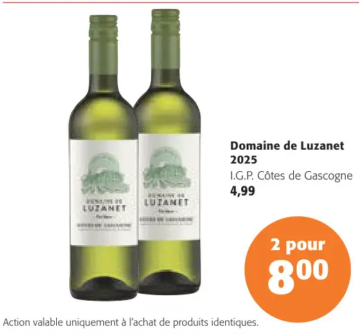 Offre: Domaine de Luzanet