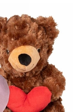 Aanbieding: Knuffelbeer met hart - 20 cm