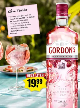 Aanbieding: Gordon's Premium Pink Gin