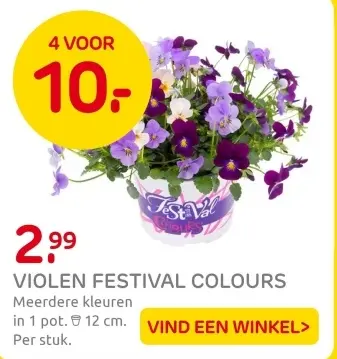 Aanbieding: Violen festival colours