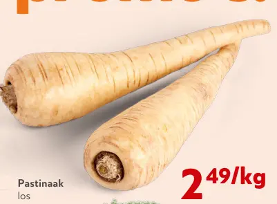 Promotie: Pastinaak