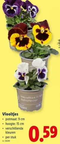 Promotie: Viooltjes